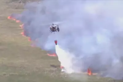 Southeastern US Wildfires Intensify, Destroying 50 Homes and Forcing Evacuations