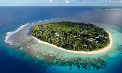 Spanish Doctor's Wife Accuses Tour Group of Negligence After Shark Attack