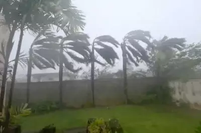 Super Typhoon Sinlaku Devastates US Pacific Islands, Flipping Cars and Tearing Roofs