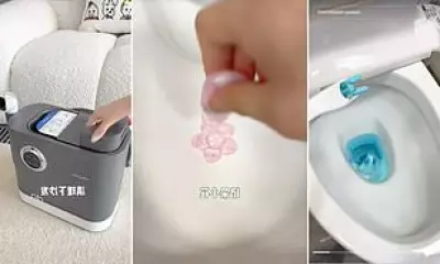 Taiwan's Clean Tech Craze: How 'Cleanfluencers' Are Revolutionising Home Hygiene