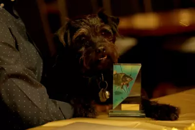 Ted the Dog from BBC's Gone Fishing Dies at 15, Tributes Pour In