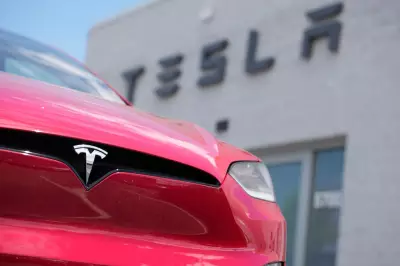 Tesla to Launch Compact, Affordable Electric SUV in New Market Strategy