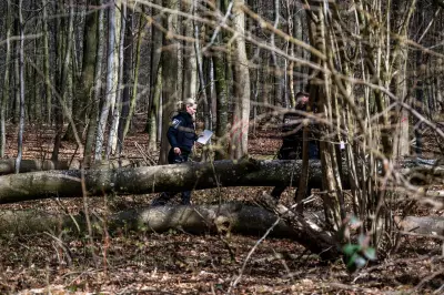 Three Killed Including Infant as High Winds Topple Tree at German Easter Egg Hunt