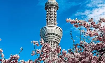 Tokyo Travel Guide: Art, Culture, Cuisine and Unique Stays