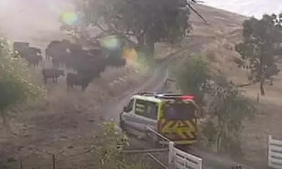 Tragic Quad Bike Crash Claims Life of Seven-Year-Old Girl in Adelaide