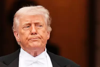 Trump Gets New Wall Street Nickname 'NACHO' Over Iran Stalemate