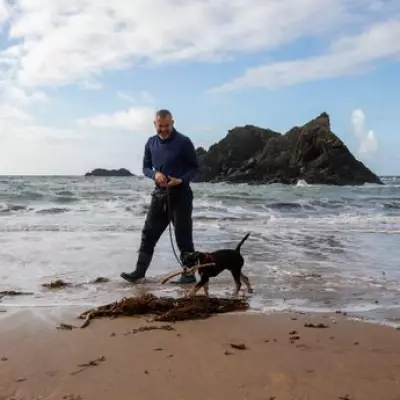 UK Dog Ban Season Begins: Over 600 Beaches to Restrict Canine Access