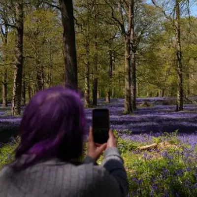 UK Set for 22C May Bank Holiday Heatwave: 21 Hottest Counties Revealed