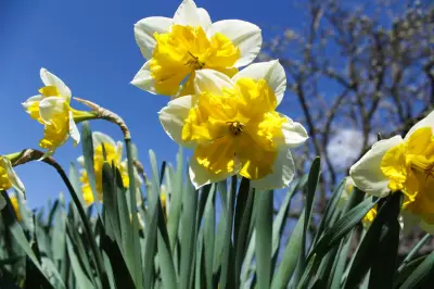 UK to bask in 23C heat this weekend, warmer than Ibiza