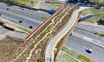 UK's First 'Green Bridge' Opens in Surrey to Aid Wildlife Crossing