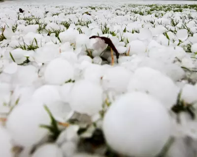 Unprecedented Hailstorm Blankets Tunisia and Algeria in White