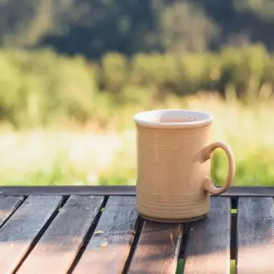 Upcycle Old Mugs into DIY Bird Feeders to Aid Garden Wildlife This Spring