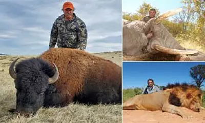 US millionaire big game hunter killed by elephant herd in Gabon