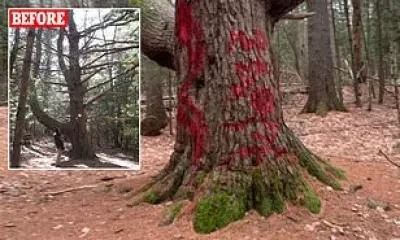 Vandals Deface 350-Year-Old Tree in Maine Park, Sparking Outrage