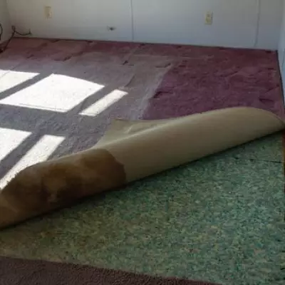 Victorian Homeowners' Renovation Dreams Shattered by 1970s Tiles