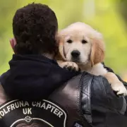 10-Week-Old Guide Dog Pup Meets Bikers to Overcome Motorbike Fear