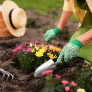 3 Flowers to Plant Now for Instant Garden Colour, Says Expert