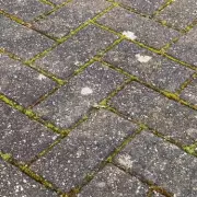 30p Kitchen Ingredient That Banishes Patio Weeds Revealed