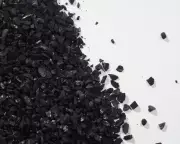 Activated Charcoal for Houseplants: Does It Really Work?
