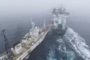 Activist Ship Rams Norwegian Krill Trawler in Antarctic Waters