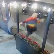 Activist's Lobster 'Rescue' Backfires as Crustacean Was Restaurant's Pet