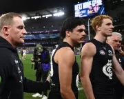AFL's Elijah Hollands Mental Health Episode Raises Player Welfare Concerns