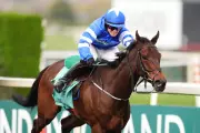 Aintree Winner Stripped of Title After Jockey Breaches Whip Rules
