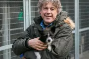 Alan Davies Reveals Key Symptom That Led to Bladder Cancer Diagnosis