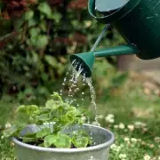 Alan Titchmarsh Warns Gardeners Against Common Watering Mistake This Spring