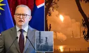 Albanese Cuts Malaysia Trip Short After Geelong Refinery Fire Emergency