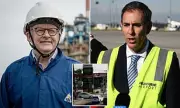 Albanese Government Faces Backlash Over $20M Fuel Conservation Ad Campaign