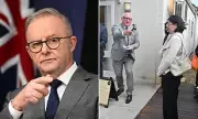 Albanese Warns Social Cohesion at Risk Without Tax Reform