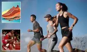 Allbirds' Dramatic Pivot from Fashion to AI After $39 Million Sale