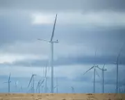 Amazon Secures Nine Renewable Energy Deals in Australia to Power Datacentres