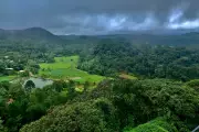 American Tourist Alleges Drugging and Sexual Assault at Indian Homestay