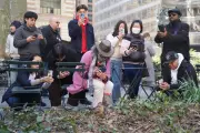American Woodcocks Draw Crowds in NYC's Bryant Park with Unique Dance