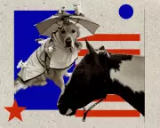 America's Animal Mayors: From Dogs to Donkeys Ruling Small Towns