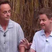 Ant and Dec Criticised by I'm A Celebrity Fans Over David Haye Exit Interview