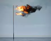 Art World Weekly Roundup: Major Exhibitions and Market Trends