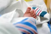 Asian Surnames Lead Growth in US Census, While Top Names Remain Unchanged