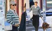 Aubrey Plaza Shows Off Pregnancy Bump During New York Dog Walk