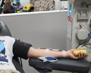 Australia Ends Historic Ban, Welcomes Gay and Transgender Blood Donors