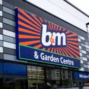 B&M Slashes Price of Artificial Flowers to £1.33 Each in New 3 for 2 Deal