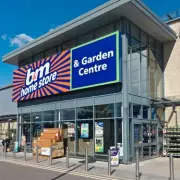 B&M's £20 Solar Lion Statue Adds Regal Charm to Gardens