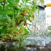 Boost Tomato Growth by Planting This Item in April