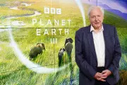 Boost Your Chances of Living to 100: Expert Tips Inspired by Attenborough