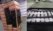 Border Force Seizes £256m Cocaine Haul Disguised as Banana Boxes