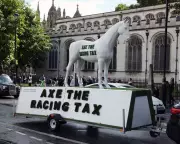 British Horseracing Authority Considers Direct Protests Over Affordability Checks