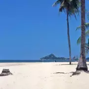 British Pensioner Drowns in Thailand as Partner Watches Helplessly