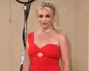 Britney Spears Enters Rehab After March DUI Arrest and Erratic Driving Incident